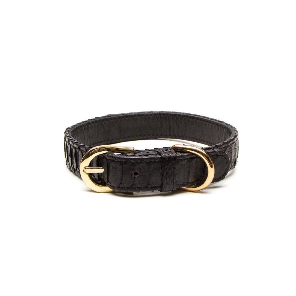 Python Dog Collar