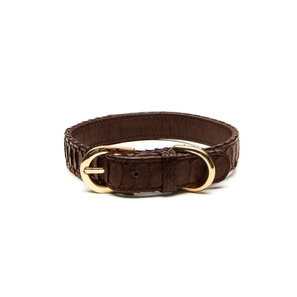 Python Dog Collar