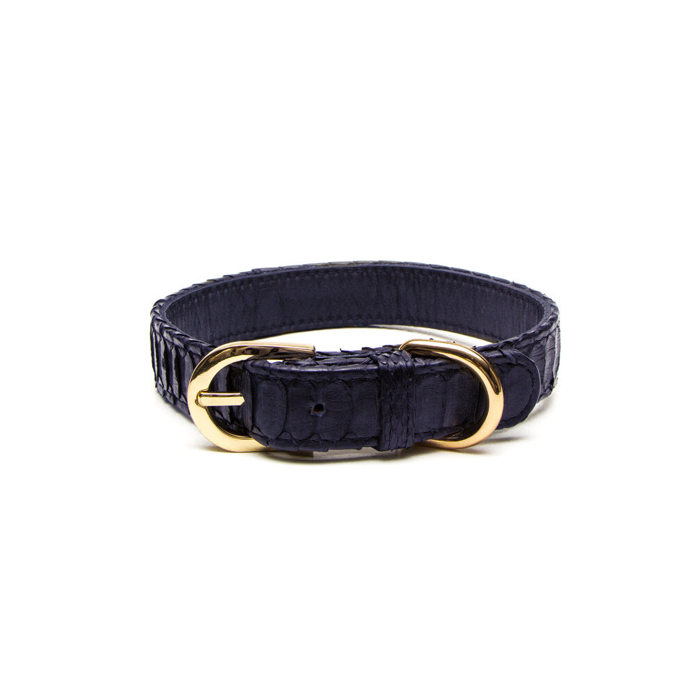 Python Dog Collar