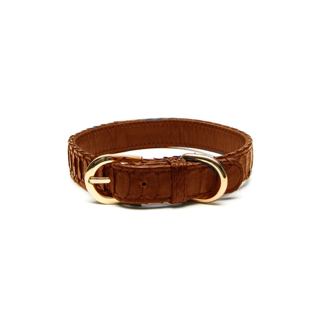Python Dog Collar