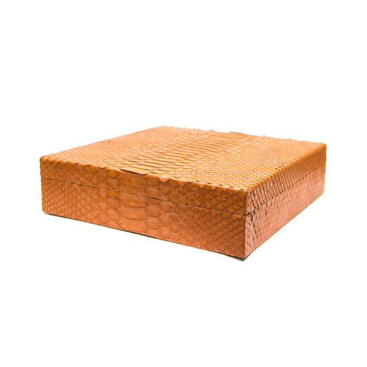 Python Small Humidor