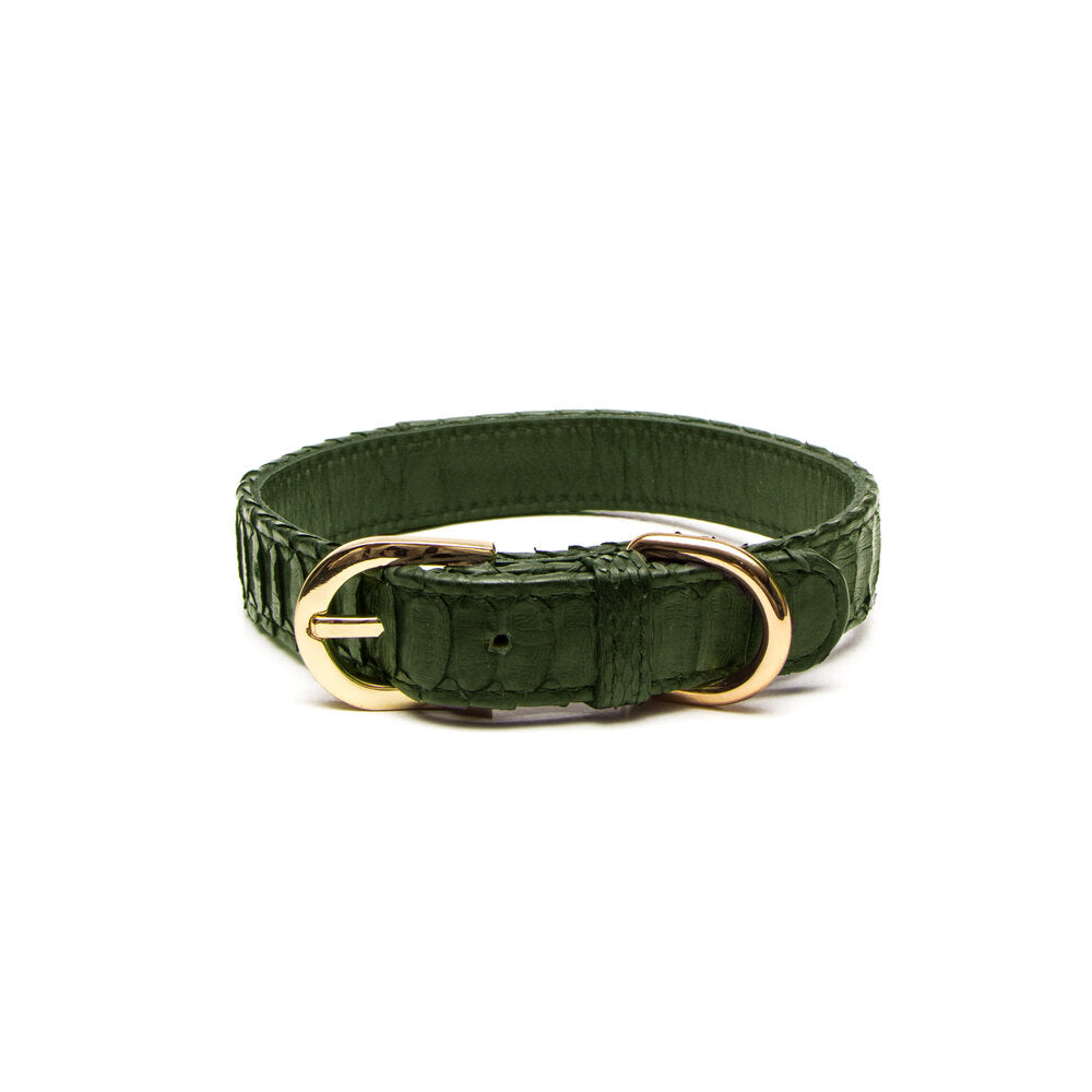 Python Dog Collar