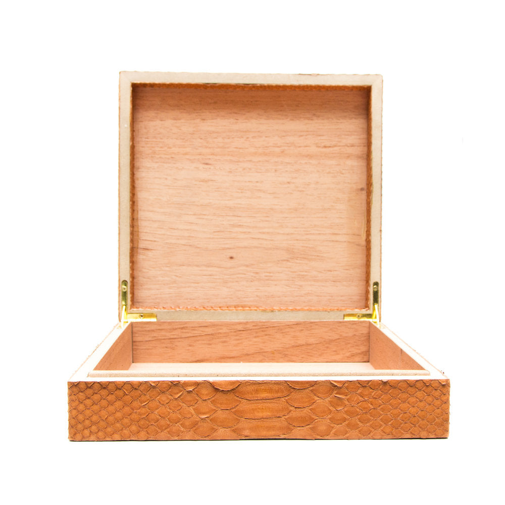 Python Small Humidor