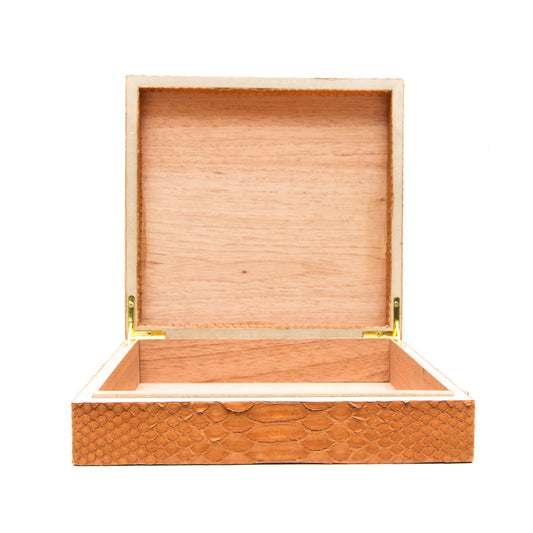 Python Small Humidor