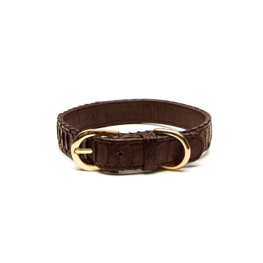 Python Dog Collar