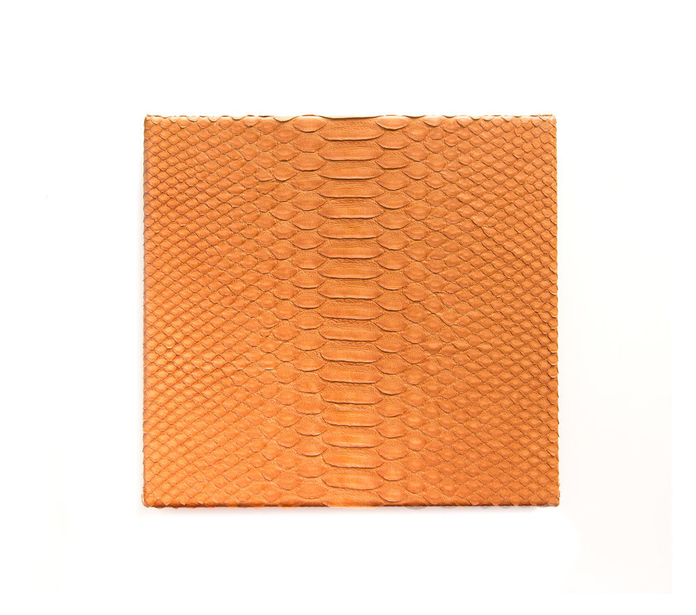 Python Small Humidor