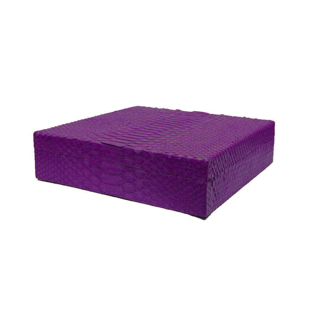 Python Small Humidor