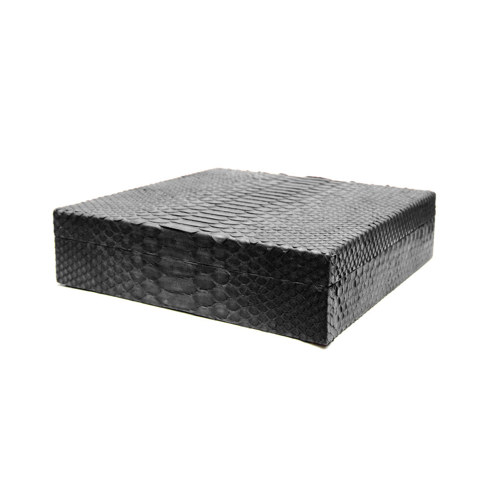 Python Small Humidor